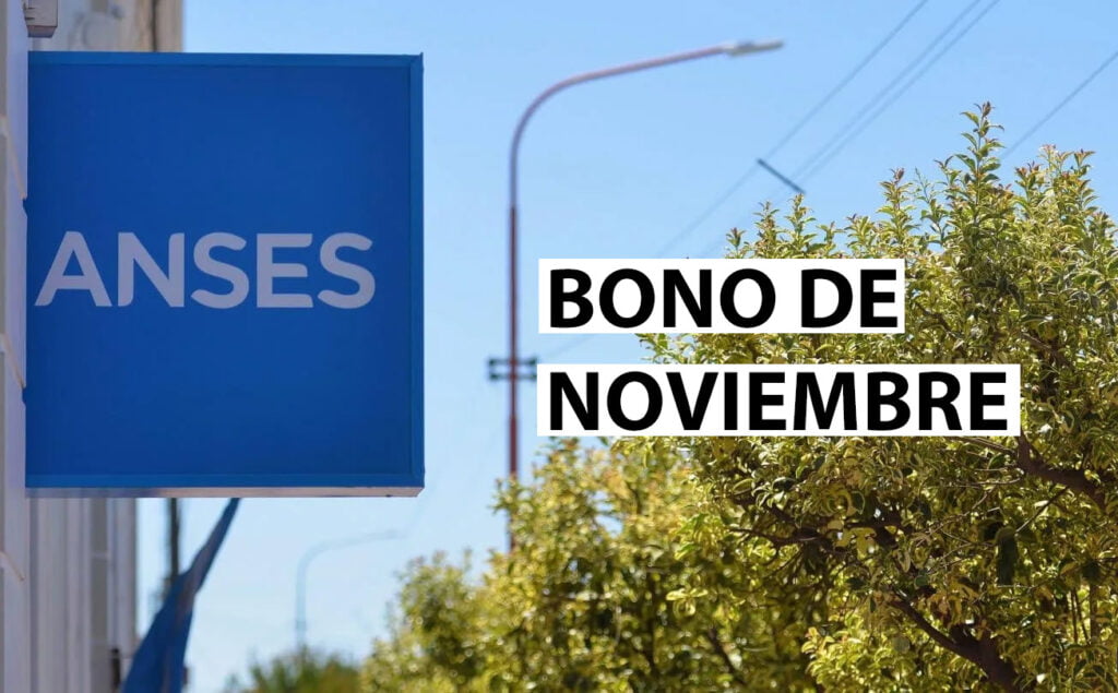 Bono de Anses en noviembre