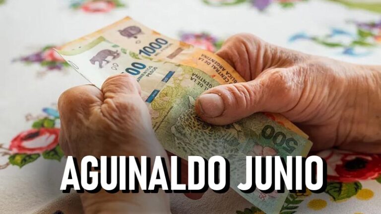 ¿Quiénes pueden cobrar el aguinaldo Anses de junio 2024? ¿Cómo se ...